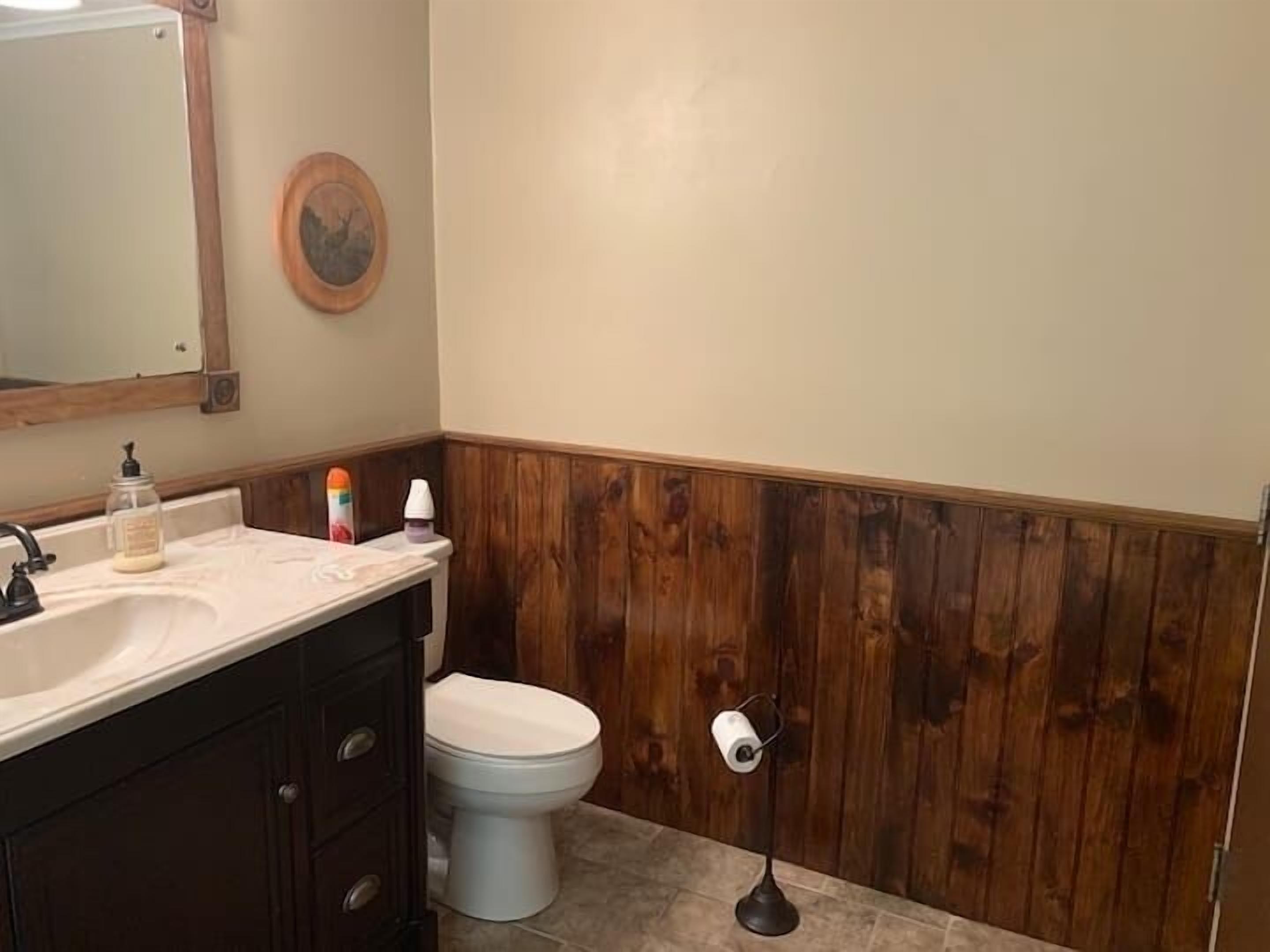 Une salle de bain avec un mur recouvert de panneaux en bois, un lavabo blanc avec un miroir, des toilettes et un porte-rouleau de papier toilette.