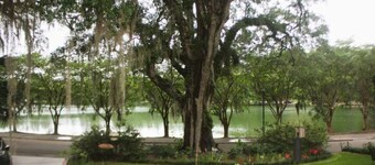 Villas @ Lake Ella Flat: 1br-1bth-desk