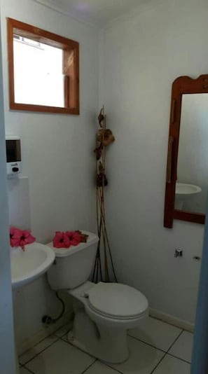 Såpe og toalettpapir