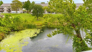 A residential area with a pond covered in lily pads, surrounded by greenery and a multi-story building with balconies.