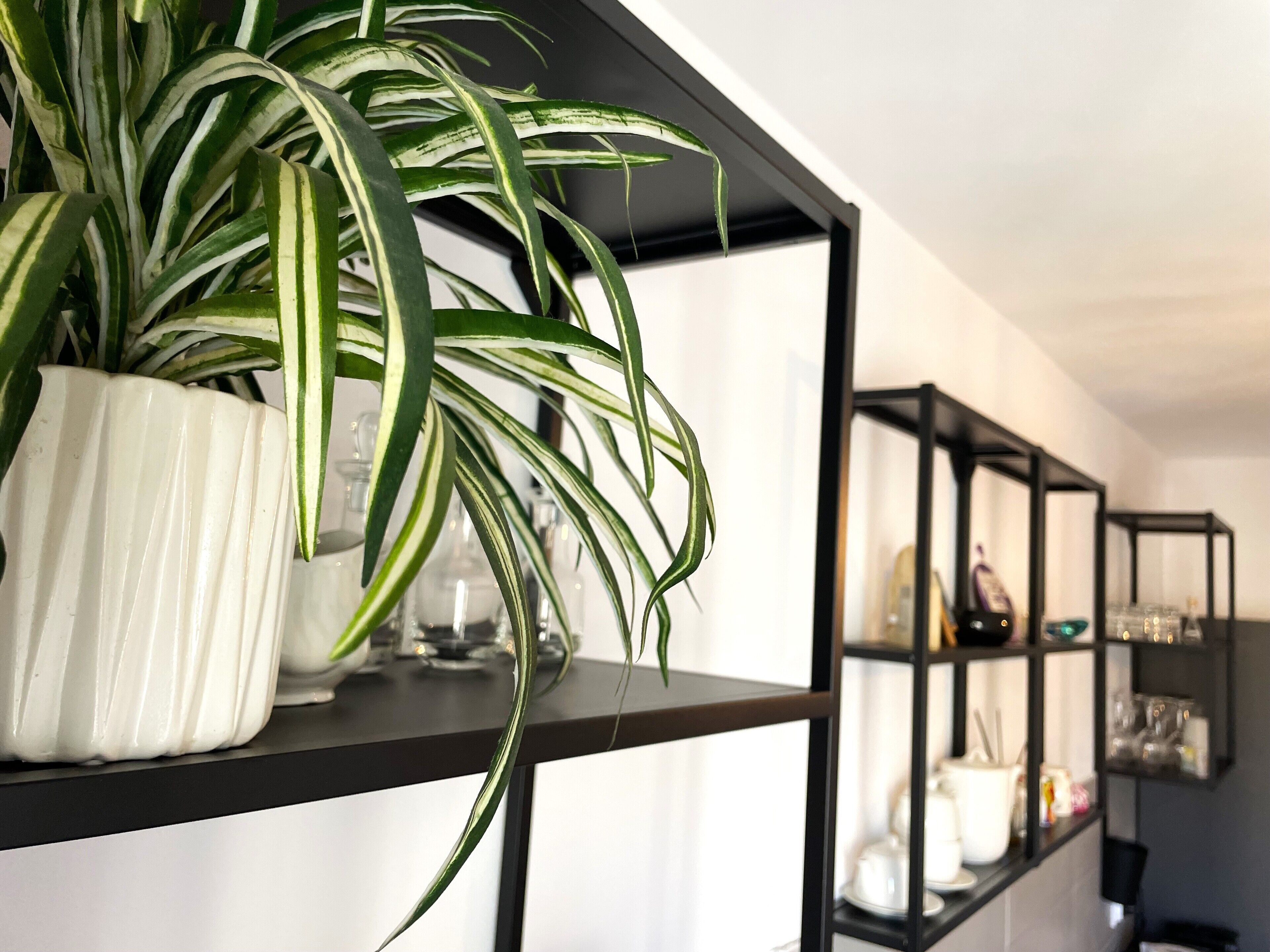 Une plante dans un pot blanc, posée sur une étagère noire, avec un vase en verre et des objets décoratifs sur l’étagère du dessous.
