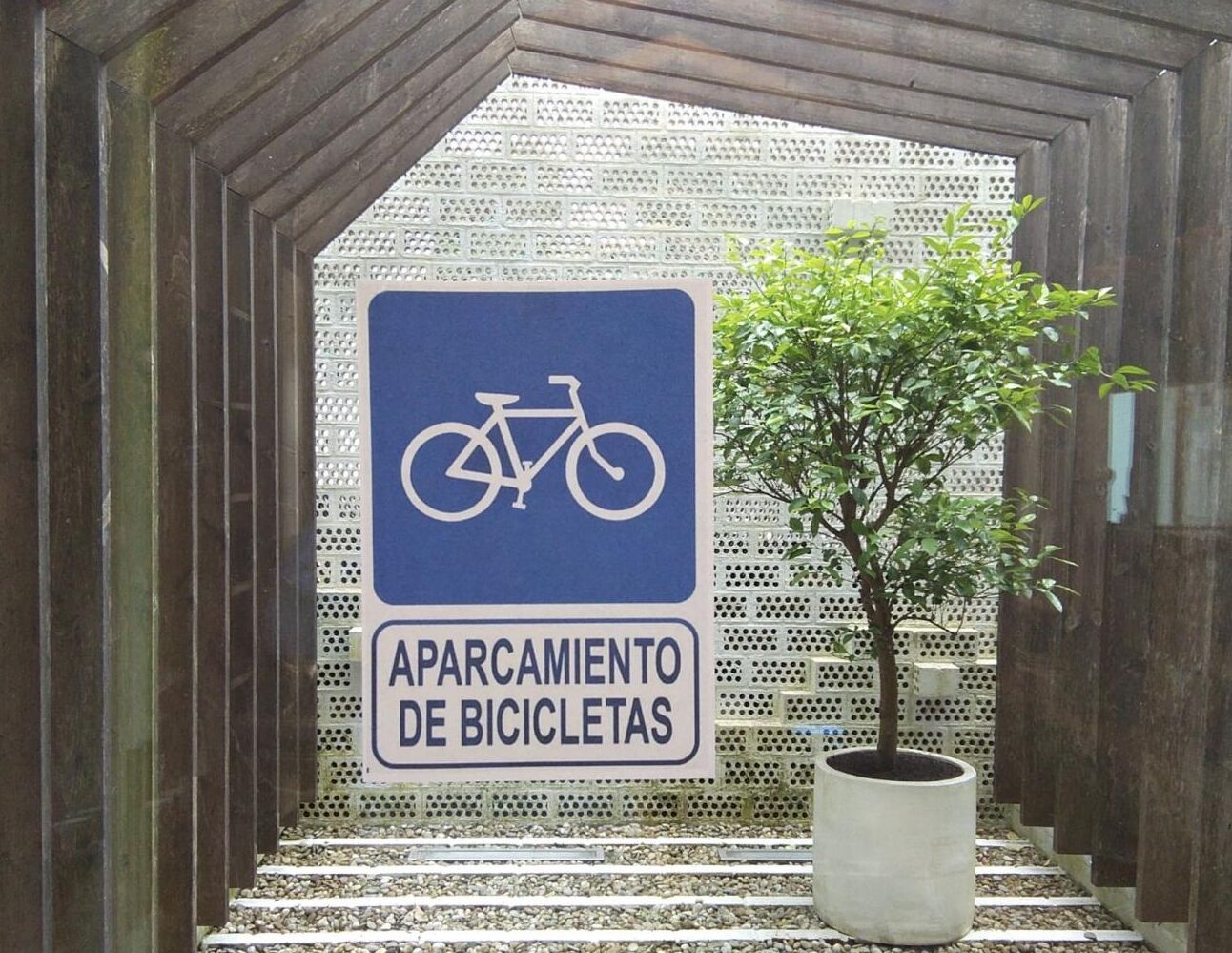 A sign for a bicycle parking area with a potted tree beside it.