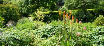 April Cottage, Minehead