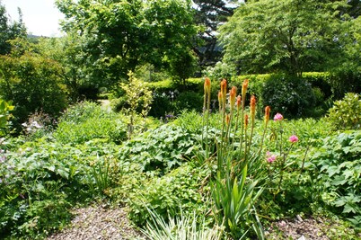 April Cottage, Minehead