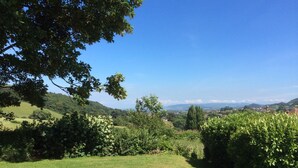 Un camp verdós amb arbres i una vista llunyana d'una vila.