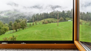 Blick durch ein Fenster auf ein grünes Feld, einen Zaun und eine Stromleitung.