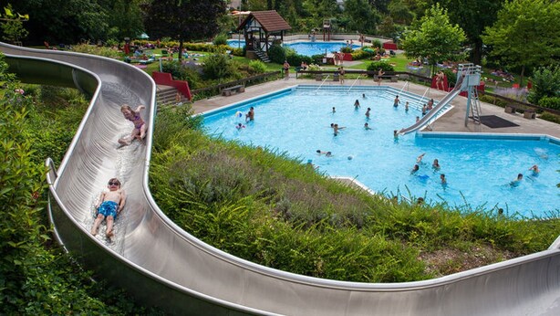 Une piscine avec un toboggan, entourée de verdure.