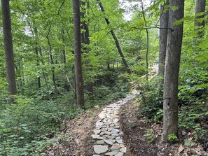 المنطقة المحيطة بالمنشأة