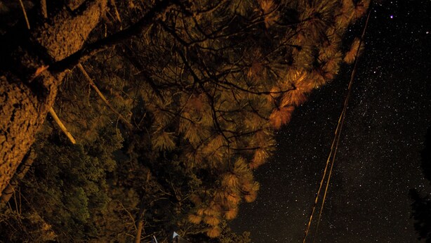 Una cabaña con fachada de madera, un balcón y un cielo nocturno estrellado visible entre los árboles.