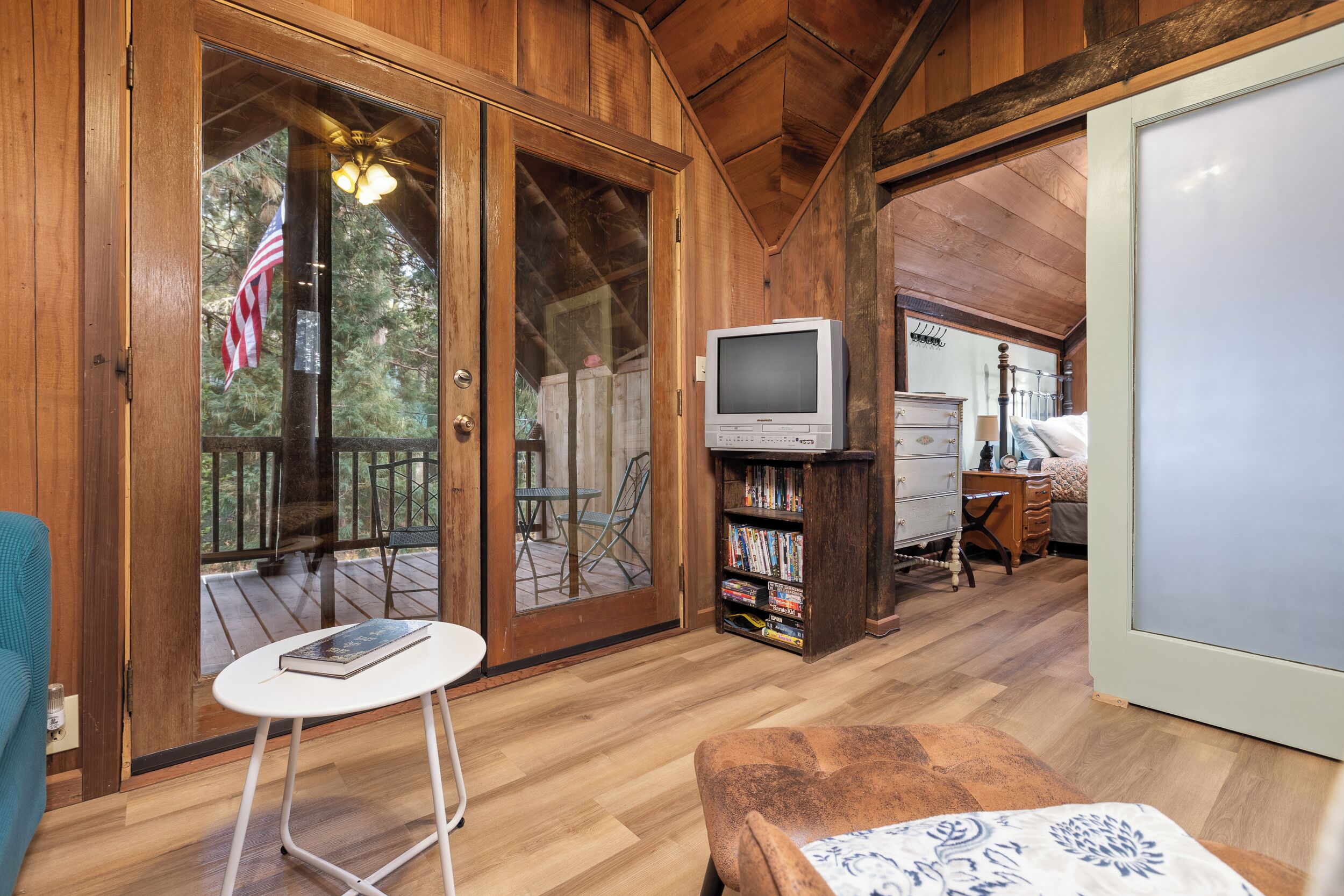 TV, DVD player, books, video library