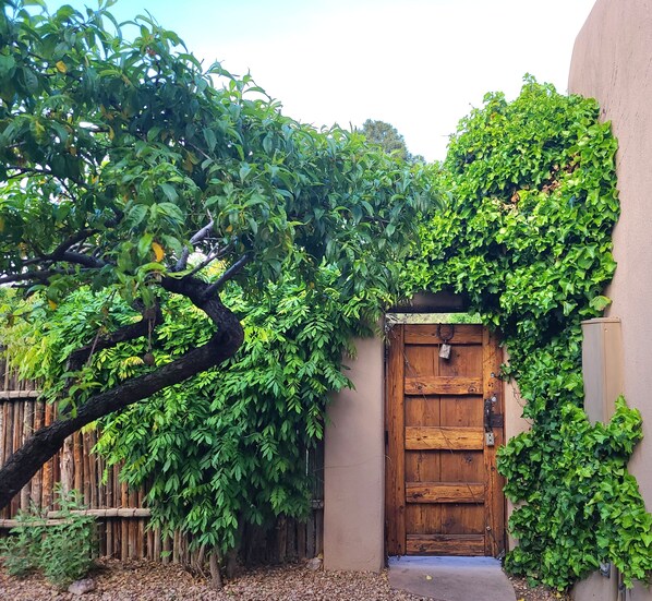 Exterior detail - Santa Fe - Charming Home 2 Bed 2 Bath
- On a Park - (Santa Fe)