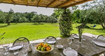 Il Piccione by Interhome