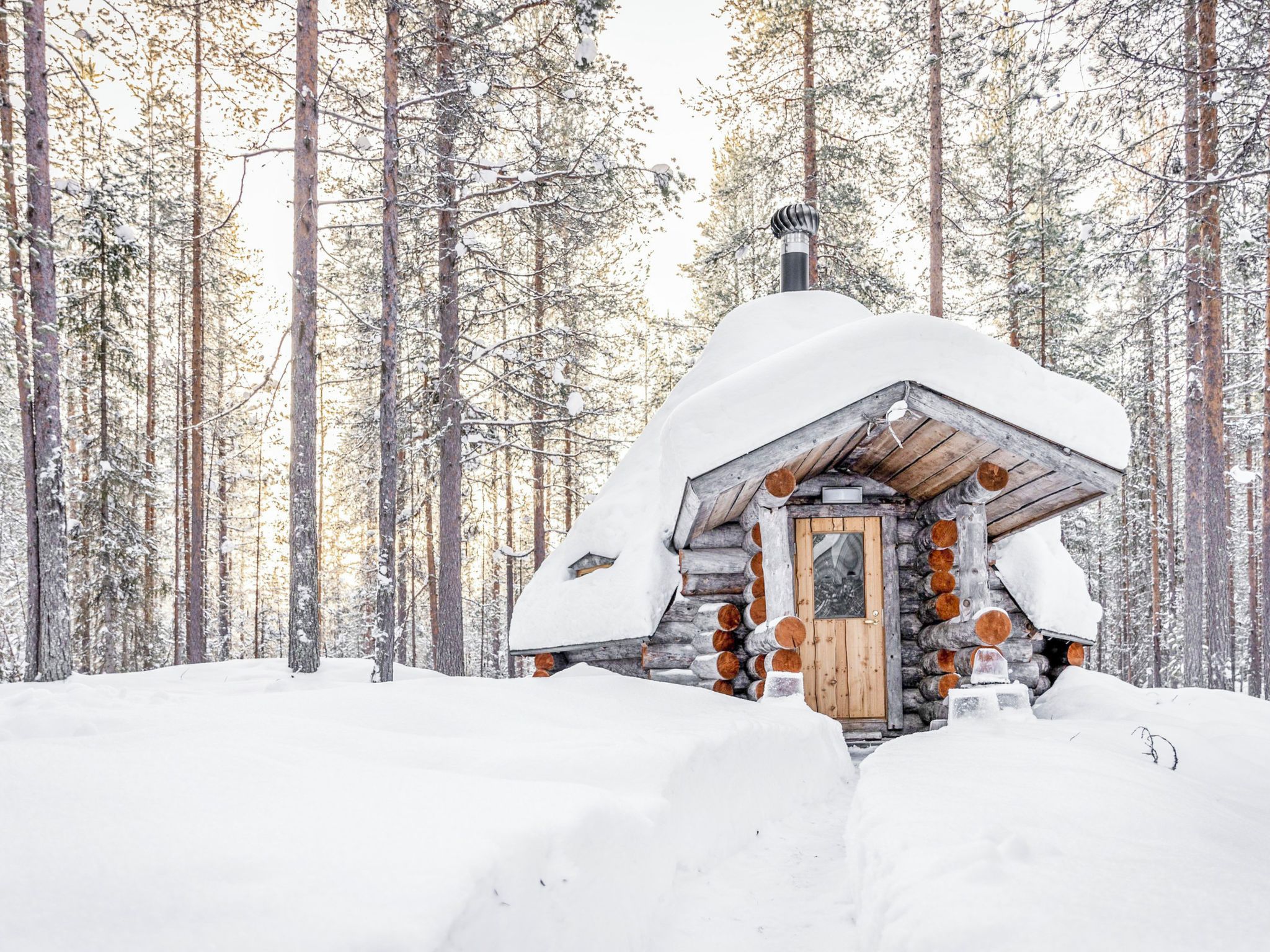 A log cabin in a snowy forest.