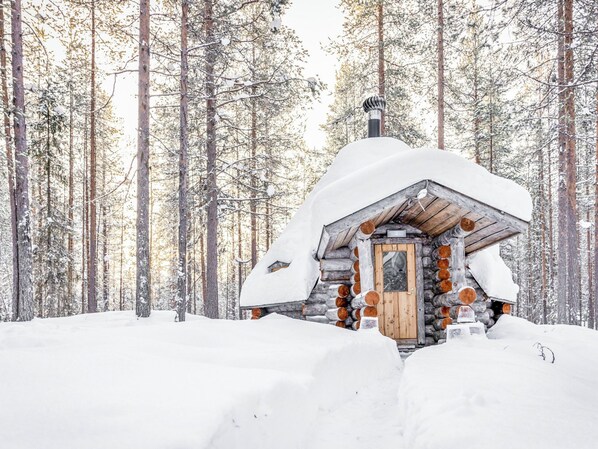 A log cabin in a snowy forest.