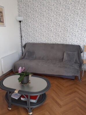 TV, video games, DVD player, books - Appartement Rénové et Équipé Avec Place de Parking Centre Commercial à Coté (Cholet)