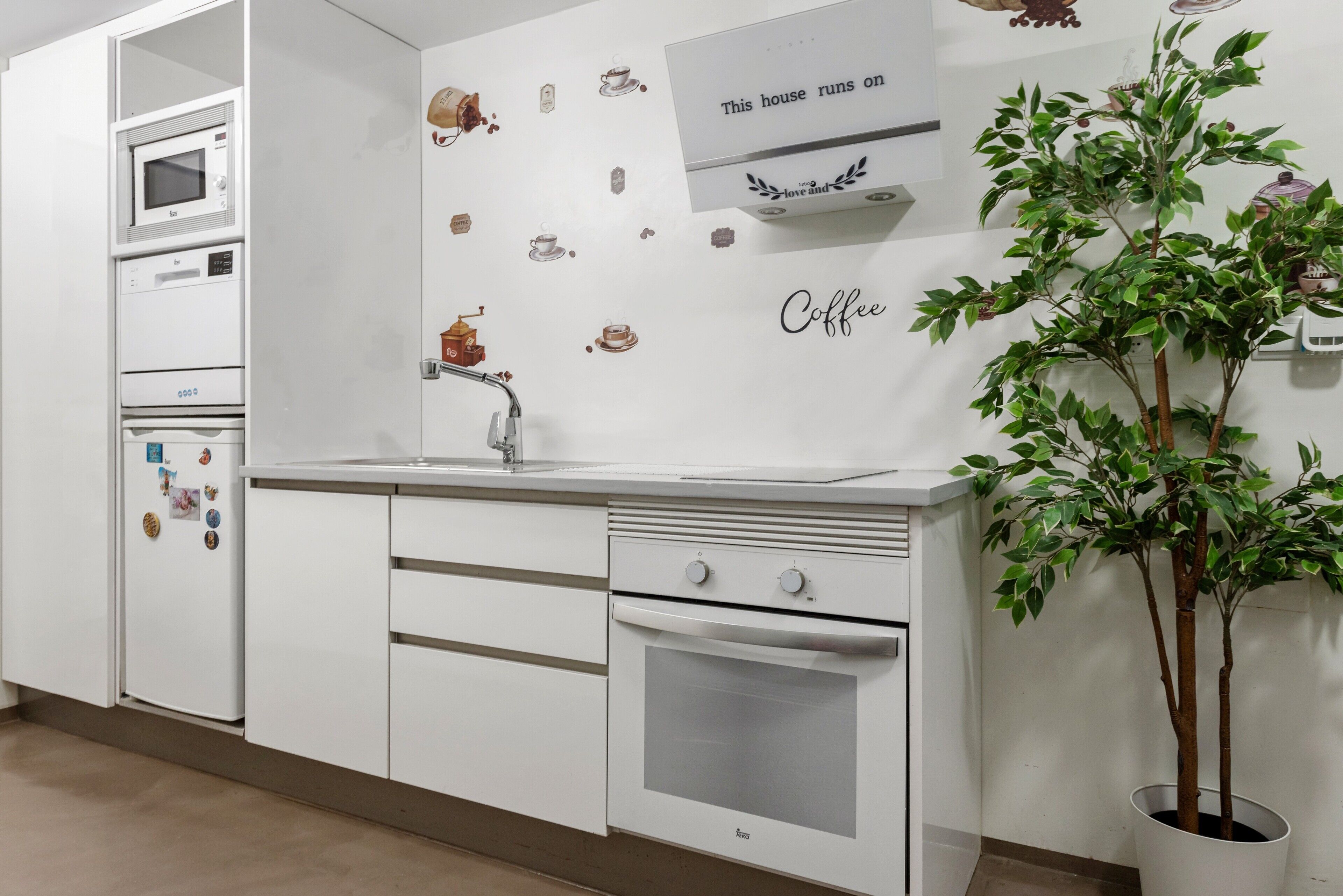 Une cuisine avec des appareils électroménagers blancs, un évier et une plante en pot.
