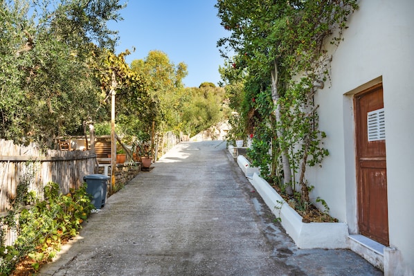 A narrow alleyway with a white building on the right, a wooden fence on the left, and greenery along the sides.