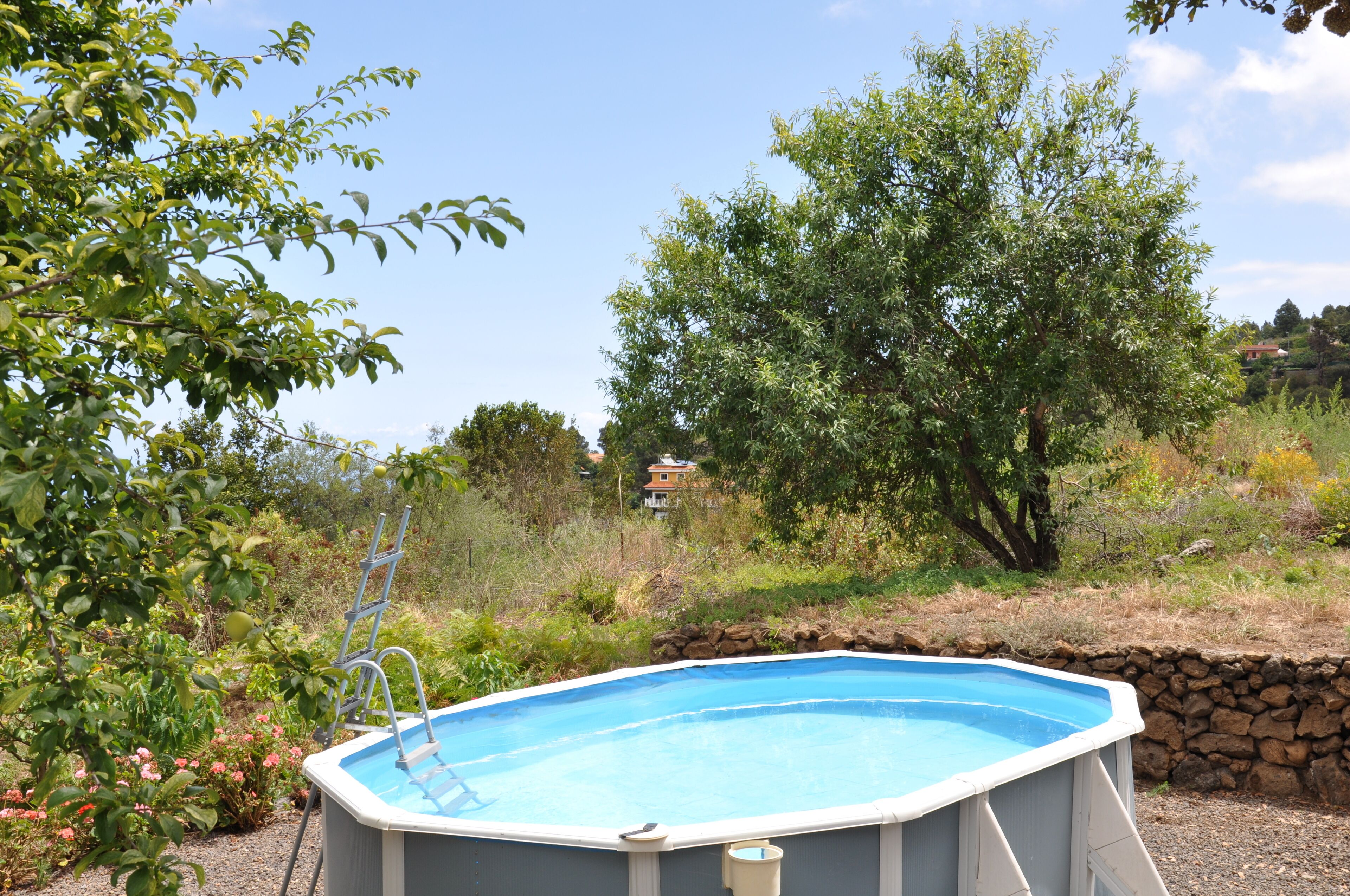 An outdoor swimming pool surrounded by trees and a stone wall.