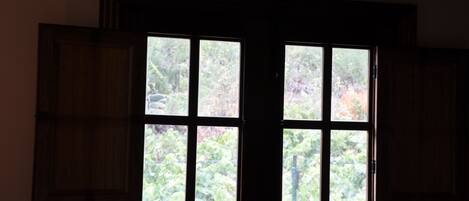 Una ventana con vista a la vegetación.