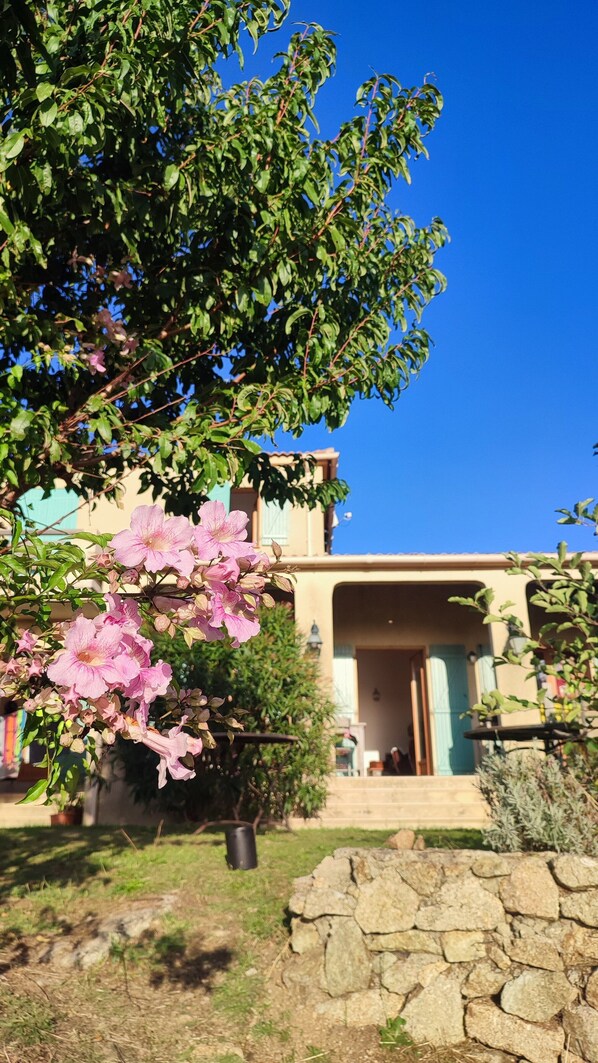 Exterior detail - Villa 10 Personnes au Calme Entre mer et Montagne. 5 Chambres, 5 Salles de Bain (Vico)