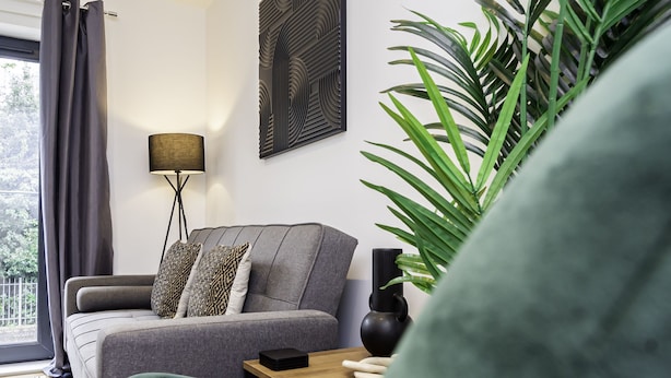 A modern living room with a grey sofa, a floor lamp, and a large green plant.