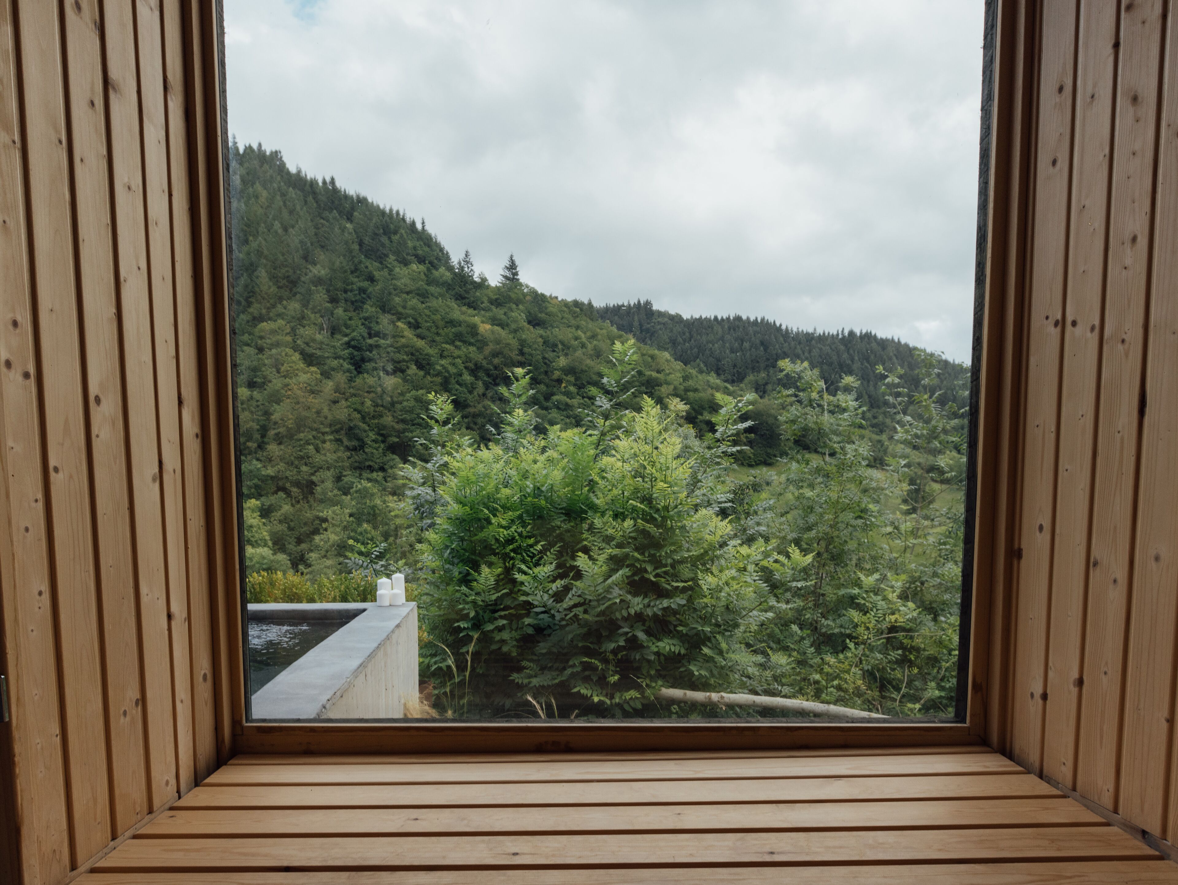A wooden-framed window with a view of a forested hillside.