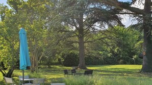 An outdoor seating area with tables and chairs, surrounded by trees and grass. - Le cèdre bleu (Saint-Lattier)