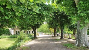 A paved pathway flanked by trees and greenery, leading to a building with a white facade and a covered entrance. - Le cèdre bleu (Saint-Lattier)