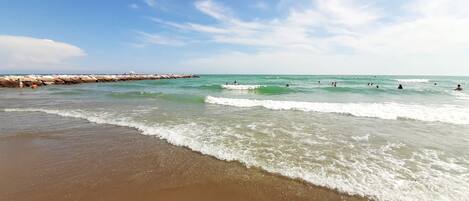 Plage à proximité, chaises longues, serviettes de plage