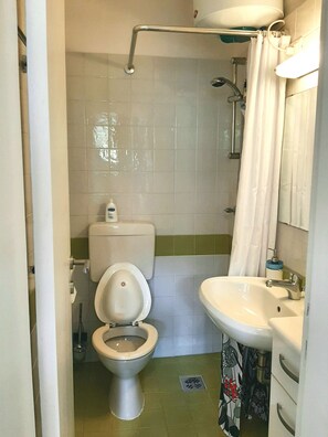 Shower, hair dryer, bidet, towels
