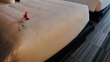 Grand Comfort 2 Queen Beds | Individually furnished, desk, laptop workspace, soundproofing