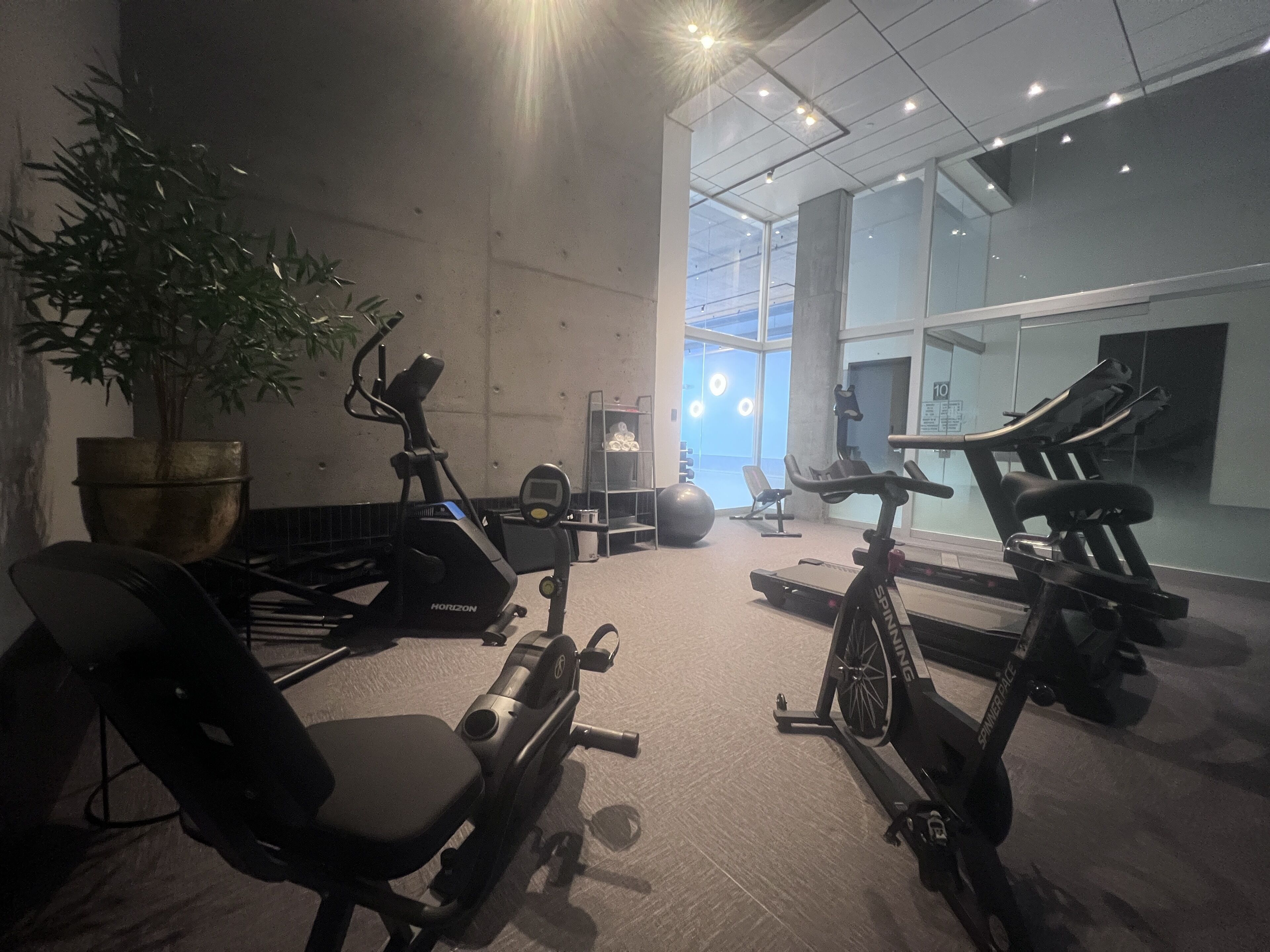 Une salle de sport équipée de vélos d’appartement, d’un tapis de course et de ballons d’exercice.