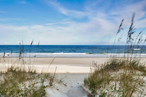 On the beach