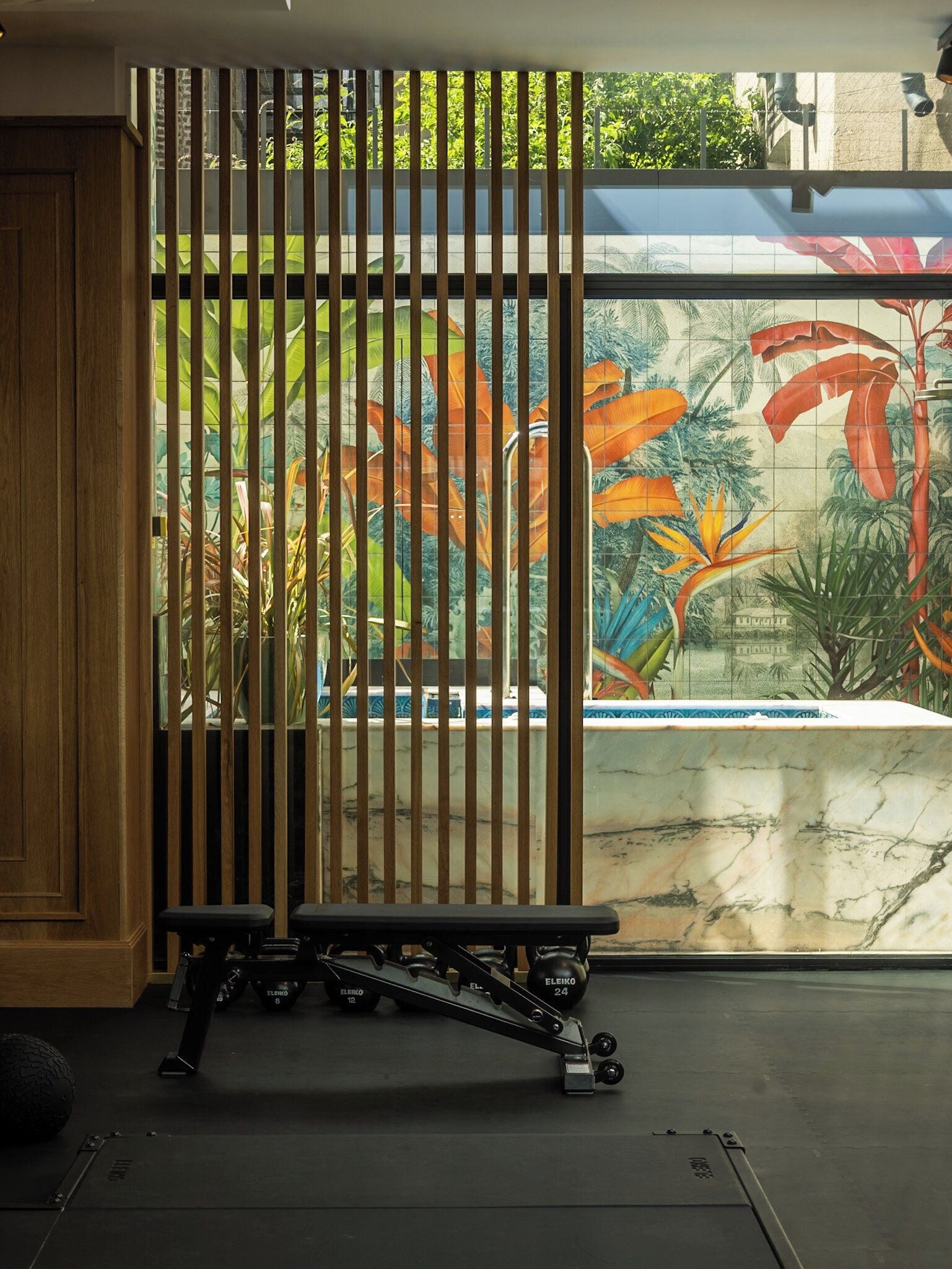 Photo - The Leinster