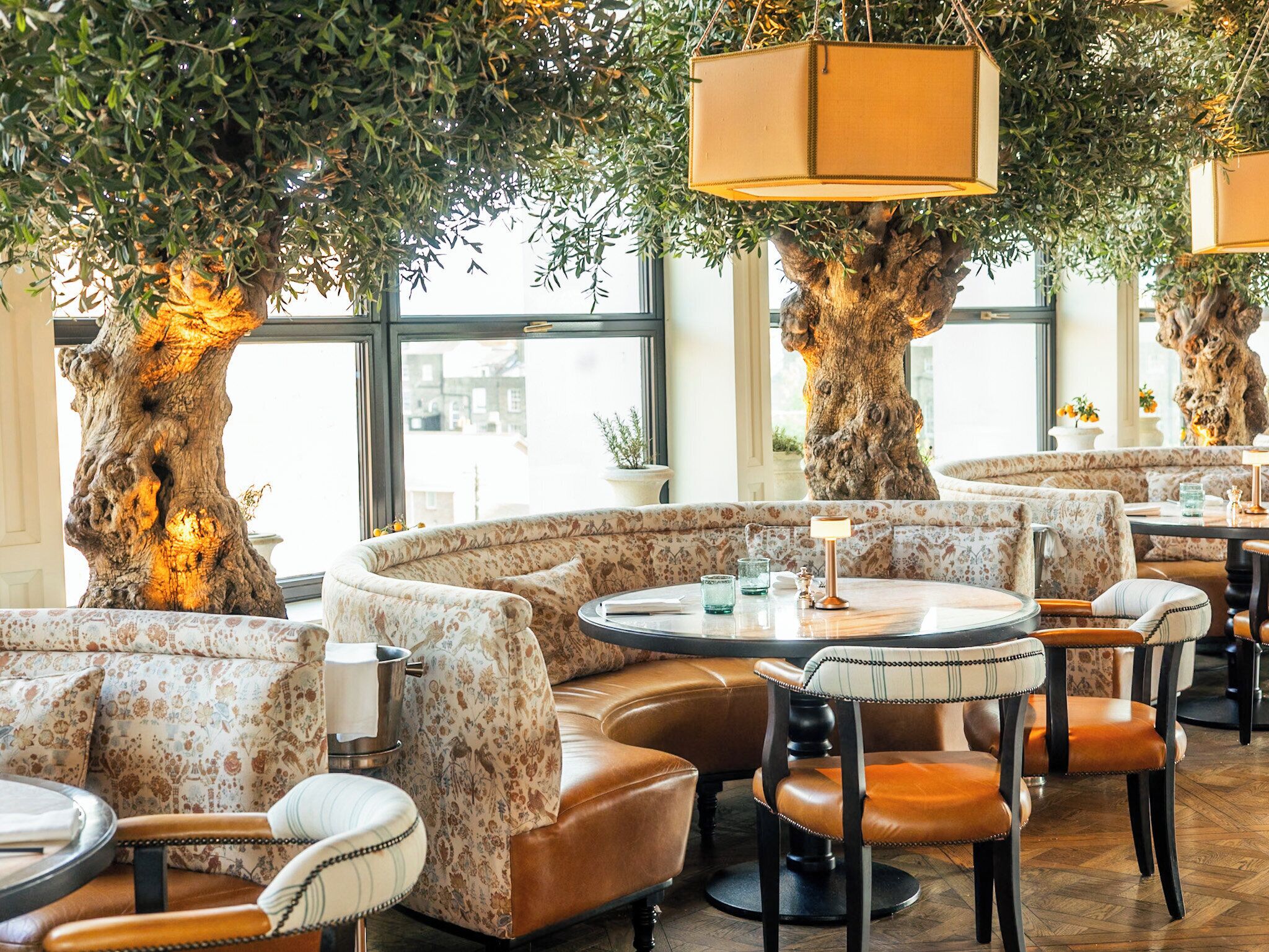 Photo - The Leinster