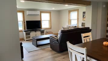 Smart TV, chimenea y reproductor de DVD