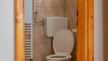 Eco-friendly toiletries, hair dryer, towels, soap