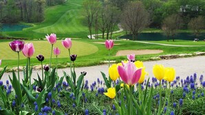 A golf course with a view of a road lined with pink and yellow tulips and blue flowers. - Beautiful Bluebirds and Star Studded Skies Surround! 
EV Charge / Pet Friendly! (Galena Territory)