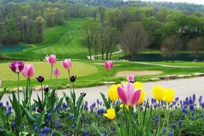 Golf - Beautiful Bluebirds and Star Studded Skies Surround! (Galena)