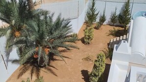 Un cortile con palme, un recinto bianco e terreno sabbioso.