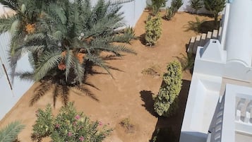 Terraço/påtio