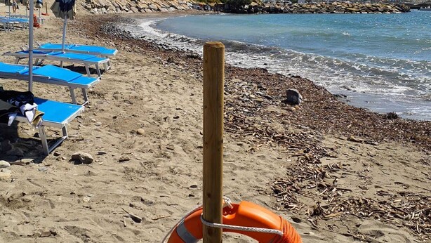 Une plage avec des chaises longues bleues, une bouée de sauvetage et un jouet.
