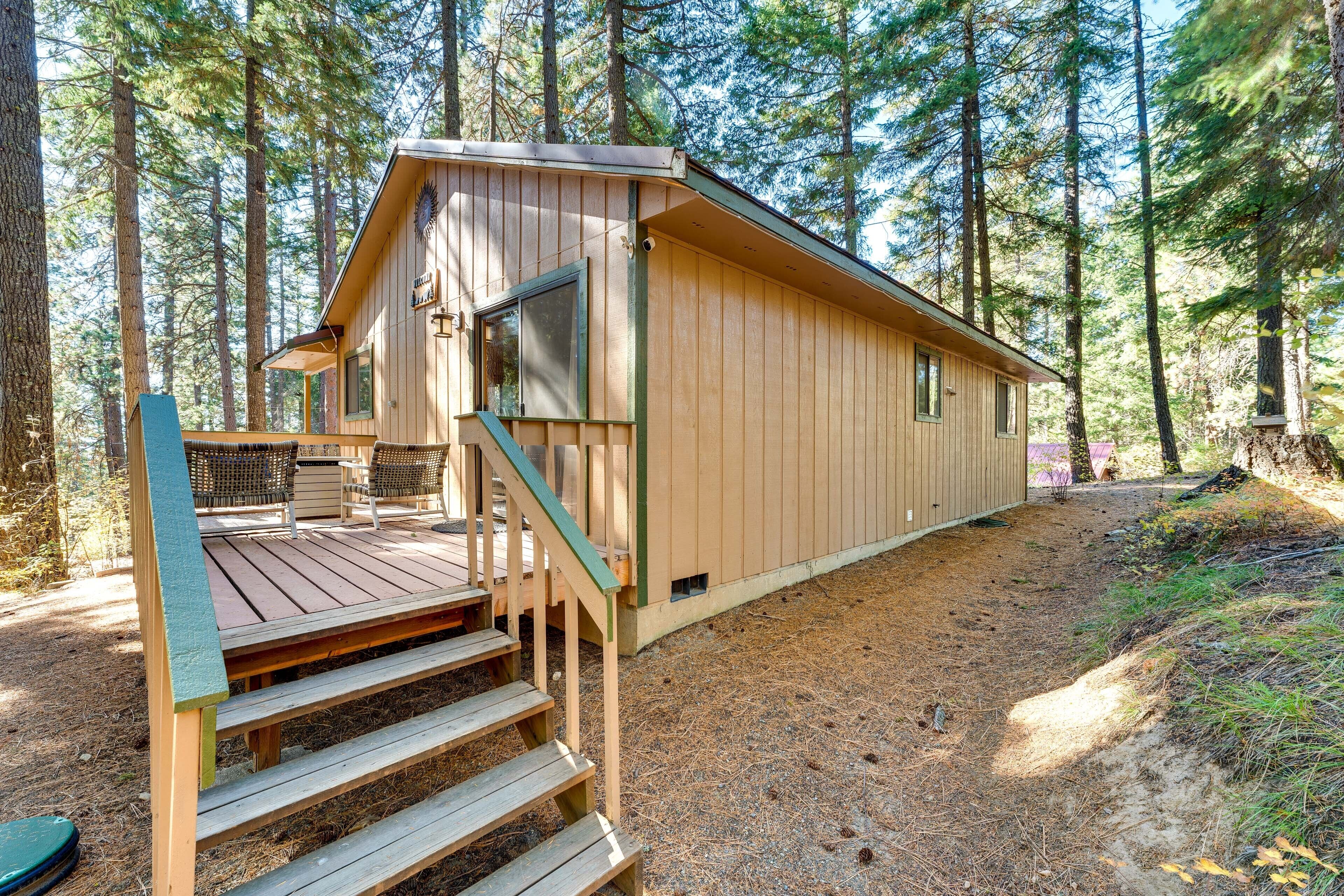 Une cabane en bois dotée d’un porche et d’un escalier, entourée de grands arbres.