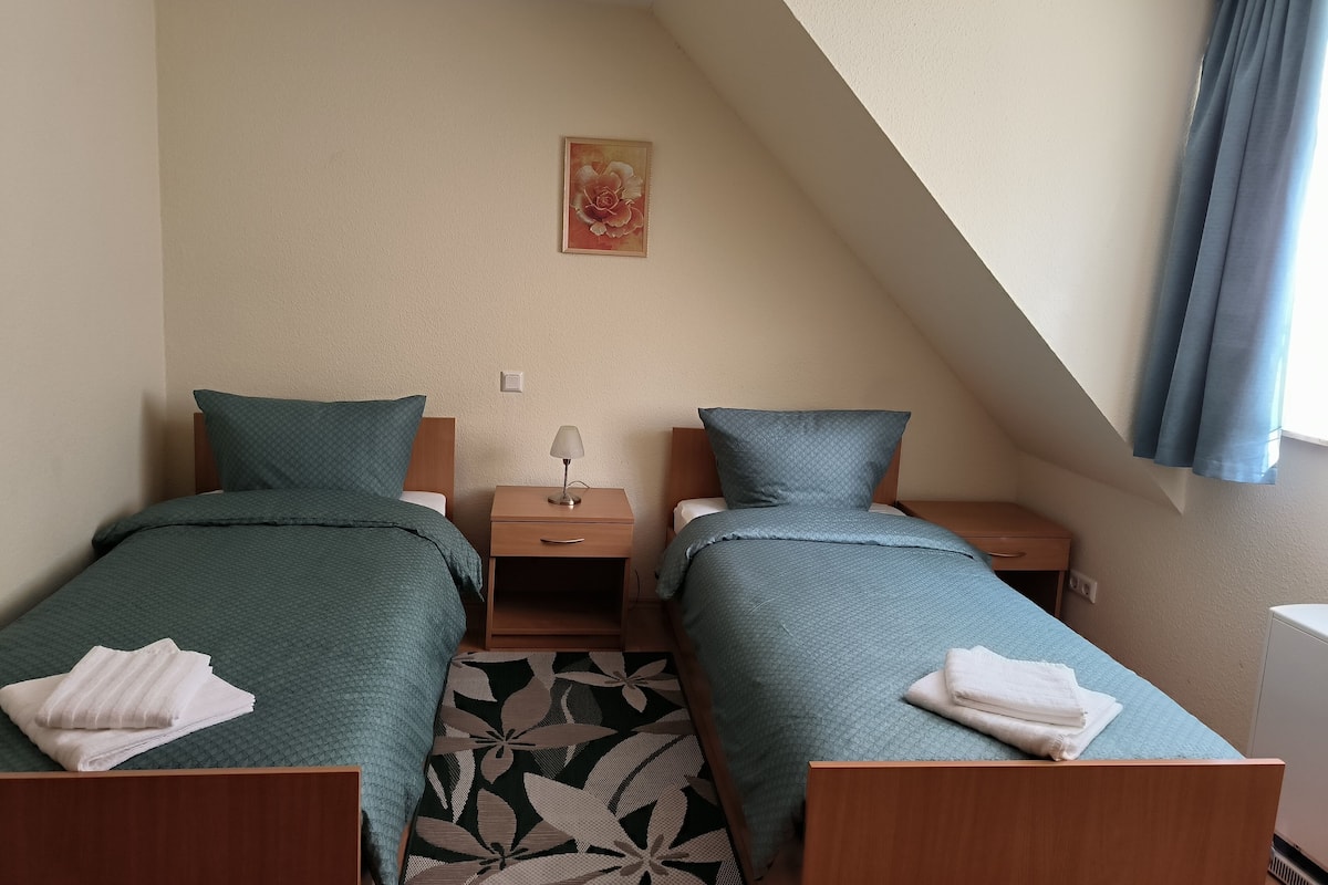 Economy Double or Twin Room | Desk, laptop workspace, bed sheets