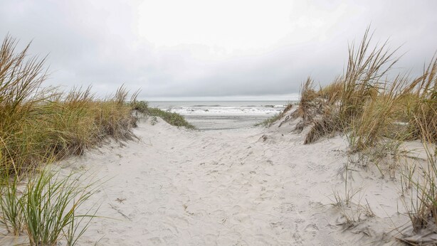 A sandy beach path leading to the ocean, surrounded by grass.