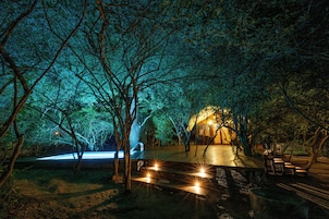 Caja fuerte, decoración individual, escritorio