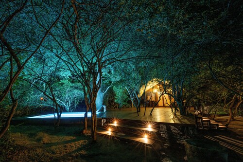 Leopard Reach Yala by Seven Angels