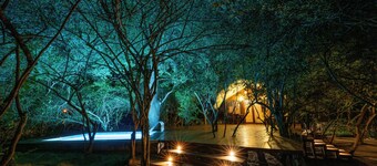 Leopard Reach Yala by Seven Angels