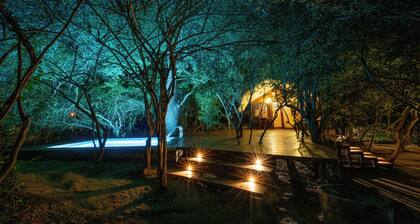 Leopard Reach Yala by Seven Angels