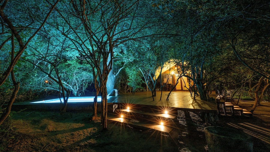 Leopard Reach Yala by Seven Angels